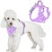 BARKBAY Dog Harness No Pull with ID Tag Pocket Heavy Duty Reflective Easy Control for Large DogsViolet PurpleS