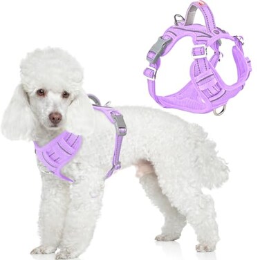 BARKBAY Dog Harness No Pull with ID Tag Pocket Heavy Duty Reflective Easy Control for Large DogsViolet PurpleS