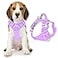 BARKBAY Dog Harness No Pull with ID Tag Pocket Heavy Duty Reflective Easy Control for Large DogsViolet PurpleM