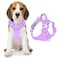 BARKBAY Dog Harness No Pull with ID Tag Pocket Heavy Duty Reflective Easy Control for Large DogsViolet PurpleM