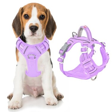 BARKBAY Dog Harness No Pull with ID Tag Pocket Heavy Duty Reflective Easy Control for Large DogsViolet PurpleM
