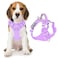 BARKBAY Dog Harness No Pull with ID Tag Pocket Heavy Duty Reflective Easy Control for Large DogsViolet PurpleM