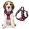 BARKBAY Dog Harness No Pull with ID Tag Pocket Heavy Duty Reflective Easy Control for Large DogsPinkBlackM