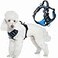 BARKBAY Dog Harness No Pull with ID Tag Pocket Heavy Duty Reflective Easy Control for Small DogsBlueBlackS
