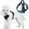 BARKBAY Dog Harness No Pull with ID Tag Pocket Heavy Duty Reflective Easy Control for Small DogsBlueBlackS