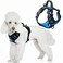 BARKBAY Dog Harness No Pull with ID Tag Pocket Heavy Duty Reflective Easy Control for Small DogsBlueBlackS