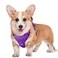 BARKBAY No Pull Dog Harness Large Reflective Dog Harness with Front Clip and Easy Control Handle for Walking Training Running with ID tag PocketPurpleM