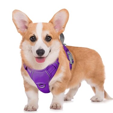 BARKBAY No Pull Dog Harness Large Reflective Dog Harness with Front Clip and Easy Control Handle for Walking Training Running with ID tag PocketPurpleM