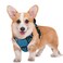 BARKBAY No Pull Dog Harness Large Step in Reflective Dog Harness with Front Clip and Easy Control Handle for Walking Training Running with ID tag PockeBlueBlackM