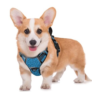 BARKBAY No Pull Dog Harness Large Step in Reflective Dog Harness with Front Clip and Easy Control Handle for Walking Training Running with ID tag PockeBlueBlackM