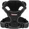 BARKBAY Dog Harness No Pull for Small Dogs Adjustable Reflective Comfortable No Choke HeavyDuty Perfect for Outdoor Training Walking and Hiking Strong Durable S Black