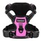 BARKBAY Dog Harness No Pull for Medium Dogs Adjustable Reflective Comfortable No Choke HeavyDuty Perfect for Outdoor Training Walking and Hiking Strong Durable M Pink