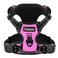 BARKBAY Dog Harness No Pull for Medium Dogs Adjustable Reflective Comfortable No Choke HeavyDuty Perfect for Outdoor Training Walking and Hiking Strong Durable M Pink