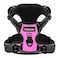BARKBAY No Pull Pet Harness Dog Harness Adjustable Outdoor Pet Vest 3M Reflective Oxford Material Vest for pink Dogs Easy Control for Small Medium Large Dogs