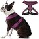 Gooby Comfort X Harness Dual Snap Purple XLarge No Pull Small Dog Harness with Rotational Buckles and Patented ChokeFree X Frame