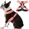Gooby Comfort X Harness Dual Snap Pink Large No Pull Small Dog Harness with Rotational Buckles and Patented ChokeFree X Frame Dog Harness for Medium Dogs No Pull and Small Dogs