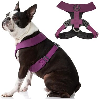 Gooby Comfort X Dual Snap Harness Purple Small No Pull Dog Harness with Rotational Buckles and Patented ChokeFree X Frame for Small to Medium Dogs