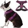 Gooby Comfort X Dual Snap Harness Purple Small No Pull Dog Harness with Rotational Buckles and Patented ChokeFree X Frame for Small to Medium Dogs
