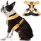 Gooby Comfort X Dual Snap Harness Yellow Small No Pull Dog Harness with Rotational Buckles and Patented ChokeFree X Frame for Small to Medium Dogs