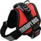 Albcorp Reflective Therapy Dog Vest Harness with 2 Removable Patches Adjustable Woven Nylon for Therapy Visits and Volunteer Programs Red Small