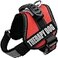 Albcorp Reflective Therapy Dog Vest Harness with 2 Removable Patches Adjustable Woven Nylon for Therapy Visits and Volunteer Programs Red Extra Small