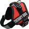 Albcorp Reflective Therapy Dog Vest Harness with 2 Removable Patches Adjustable Woven Nylon for Therapy Visits and Volunteer Programs Red Extra Small