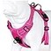 JUXZH Truelove No Pull Dog Harness with Easy Control Handle and 2 Leash AttachmentsReflective Adjustable Pet Vest