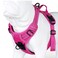 JUXZH Truelove No Pull Dog Harness with Easy Control Handle and 2 Leash AttachmentsReflective Adjustable Pet Vest