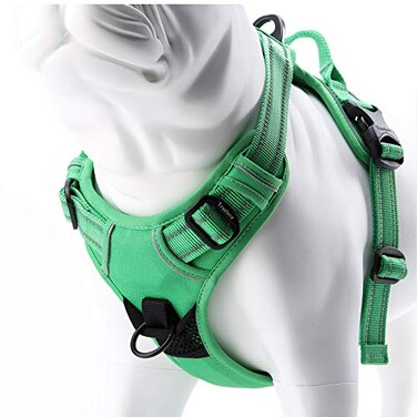 JUXZH Truelove No Pull Dog Harness with Easy Control Handle and 2 Leash AttachmentsReflective Adjustable Pet Vest