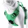 JUXZH Truelove No Pull Dog Harness with Easy Control Handle and 2 Leash AttachmentsReflective Adjustable Pet Vest