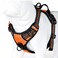 JUXZH Truelove No Pull Dog Harness with Easy Control Handle and 2 Leash AttachmentsReflective Adjustable Pet Vest
