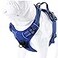JUXZH Truelove No Pull Dog Harness with Easy Control Handle and 2 Leash AttachmentsReflective Adjustable Pet Vest