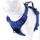 JUXZH Truelove No Pull Dog Harness with Easy Control Handle and 2 Leash AttachmentsReflective Adjustable Pet Vest