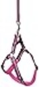 Terrain D.O.G. Terrain DOG Reflective Neoprene Lined Dog Harness Medium Purple
