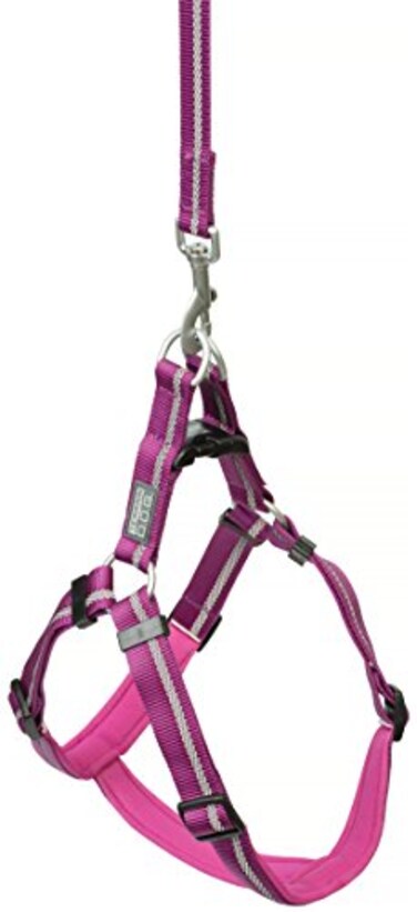 Terrain D.O.G. Terrain DOG Reflective Neoprene Lined Dog Harness Medium Purple