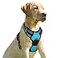 BARKBAY No Pull Dog Harness Front Clip Heavy Duty Reflective Easy Control Handle for Large Dog WalkingBlueL
