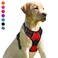 BARKBAY No Pull Dog Harness Front Clip Heavy Duty Reflective Easy Control Handle for Large Dog WalkingRedS