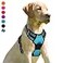 BARKBAY No Pull Dog Harness Front Clip Heavy Duty Reflective Easy Control Handle for Large Dog WalkingBlueM