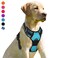 BARKBAY No Pull Dog Harness Front Clip Heavy Duty Reflective Easy Control Handle for Large Dog WalkingBlueM