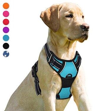 BARKBAY No Pull Dog Harness Front Clip Heavy Duty Reflective Easy Control Handle for Large Dog WalkingBlueM