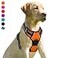 BARKBAY No Pull Dog Harness Front Clip Heavy Duty Reflective Easy Control Handle for Large Dog WalkingOrangeS
