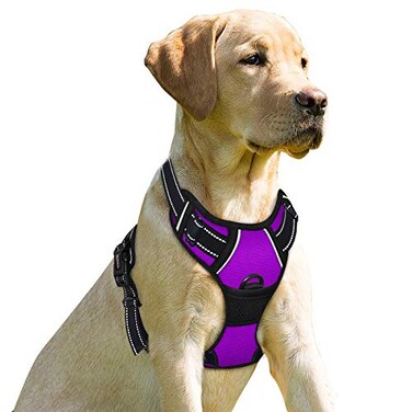 BARKBAY No Pull Dog Harness Front Clip Heavy Duty Reflective Easy Control Handle for Large Dog WalkingPurpleXL