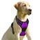 BARKBAY No Pull Dog Harness Front Clip Heavy Duty Reflective Easy Control Handle for Large Dog WalkingPurpleXL