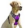 BARKBAY No Pull Dog Harness Front Clip Heavy Duty Reflective Easy Control Handle for Large Dog WalkingPurpleL