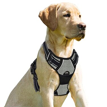 BARKBAY No Pull Dog Harness Front Clip Heavy Duty Reflective Easy Control Handle for Large Dog WalkingFlint GrayL