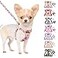 SlowTon No Pull Dog Harness with Leash Soft Lightweight Floral Pattern Puppy Harness Adjustable Pet Harness for Small Medium Dogs Flower XS