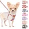 SlowTon No Pull Dog Harness with Leash Soft Lightweight Floral Pattern Puppy Harness Adjustable Pet Harness for Small Medium Dogs Flower XS
