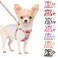 SlowTon No Pull Dog Harness with Leash Soft Lightweight Floral Pattern Puppy Harness Adjustable Pet Harness for Small Medium Dogs Flower XS