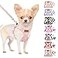 SlowTon No Pull Dog Harness with Leash Soft Lightweight Floral Pattern Puppy Harness Adjustable Pet Harnesses for Small Medium Dogs Pink Daisy XS