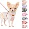 SlowTon No Pull Dog Harness with Leash Soft Lightweight Floral Pattern Puppy Harness Adjustable Pet Harnesses for Small Medium Dogs Pink Daisy XS